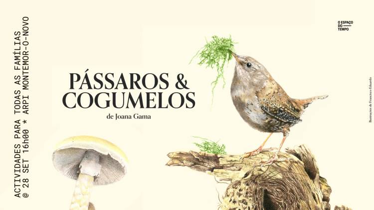 Pássaros & Cogumelos | Joana Gama