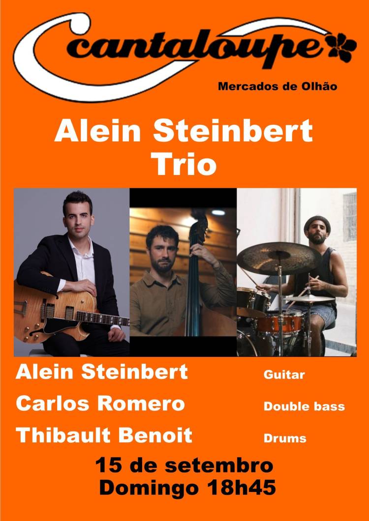 alein Steinbert trio