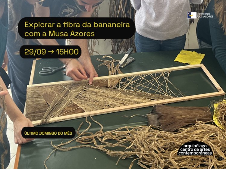 Explorar a fibra da bananeira com a Musa Azores