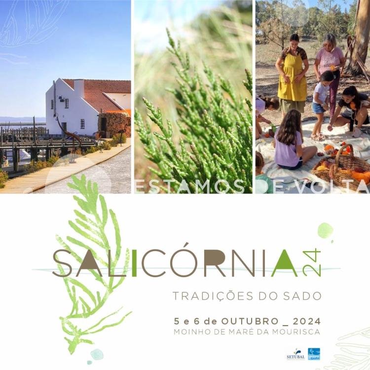 Salicórnia - Tradições do Sado