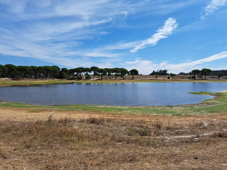 Caminhando à Descoberta de Santo Isidro de Pegões