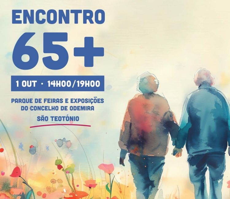 Encontro 65+