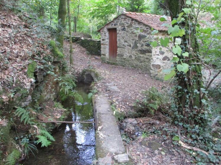 Caminhando na Rota dos 3 Rios e Pateira de Fermentelos