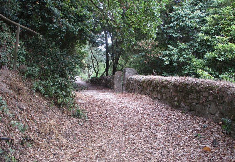 Caminhando da Barragem do Rio da Mula à Aldeia do Penedo