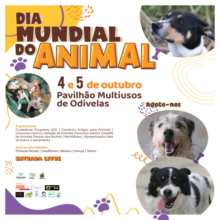 DIA MUNDIAL DO ANIMAL 2024