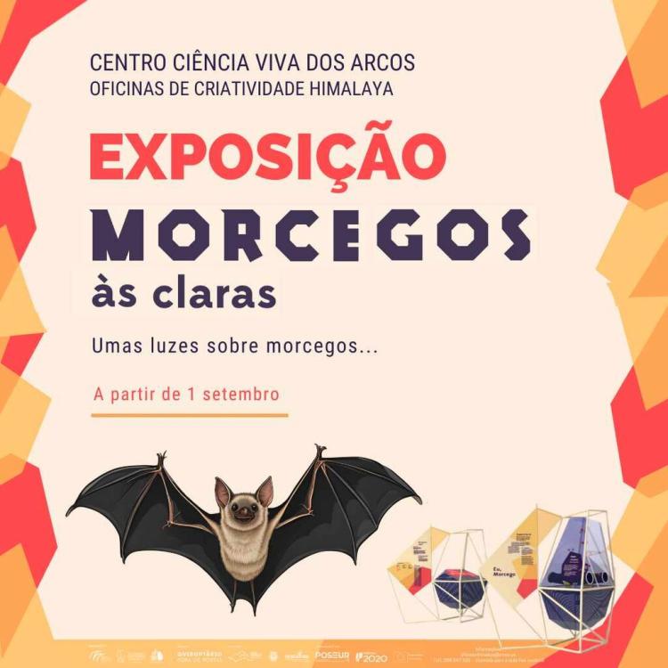 Morcegos às Claras”, uma nova exposição no Centro Ciência Viva dos Arcos