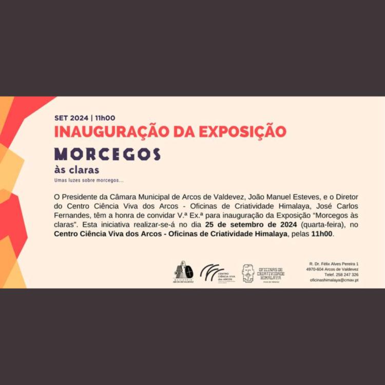 Morcegos às Claras”, uma nova exposição no Centro Ciência Viva dos Arcos