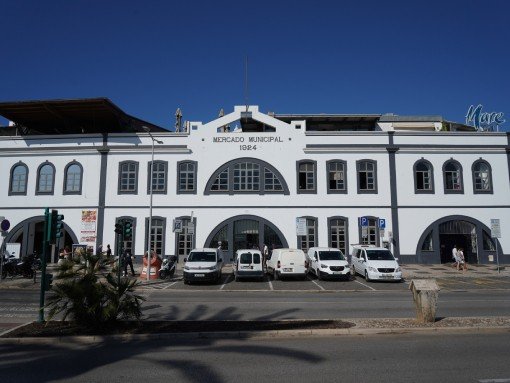 COMEMORAÇÕES DOS 100 ANOS DO MERCADO DA AVENIDA