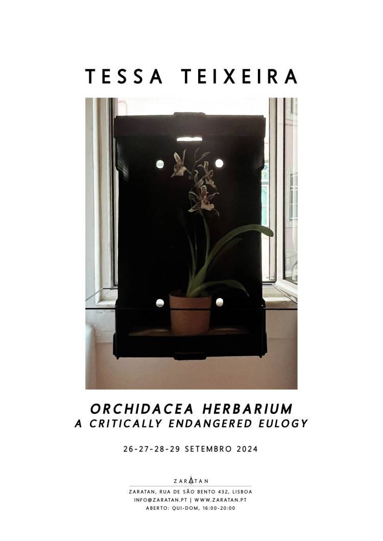 TESSA TEIXEIRA |  «Orchidacea Herbarium – a Critically Endangered Eulogy»