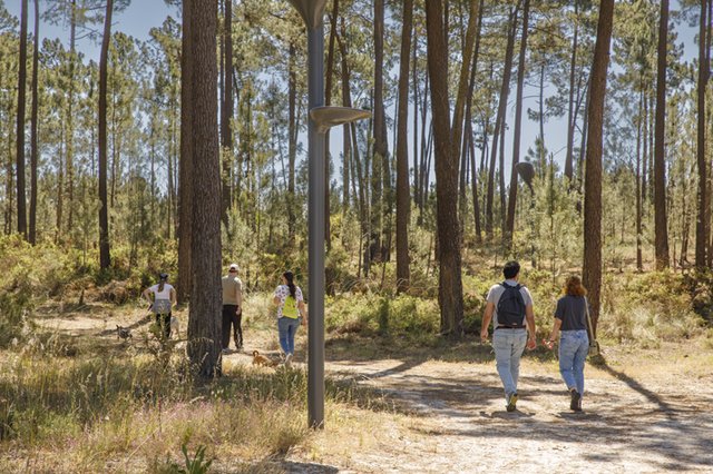 Passeio Interpretativo no Parque Metropolitano da Biodiversidade