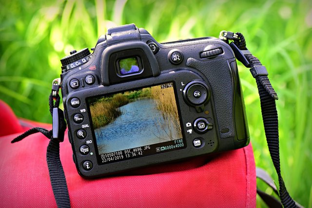 Iniciação à Fotografia de Natureza