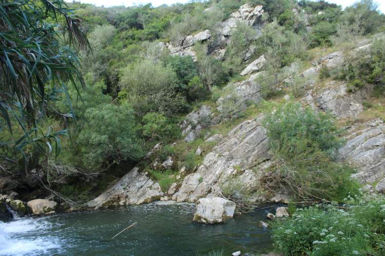 Passeio Trilhos da Floresta | Cucos e Vale Escuro