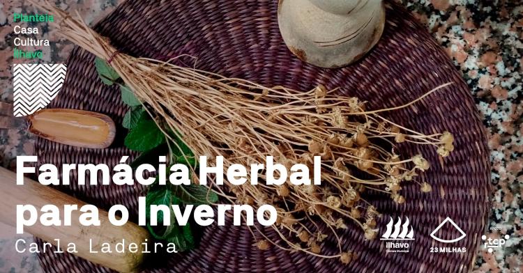 Oficina Planteia: Farmácia Herbal para o Inverno com Carla Ladeira