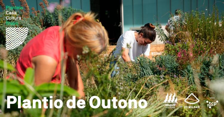 Plantio de Outono // Ação de limpeza e plantio