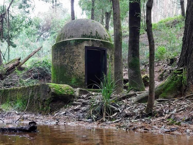 Caminhando pelo Alto das 3 Cruzes: Serra de Sintra