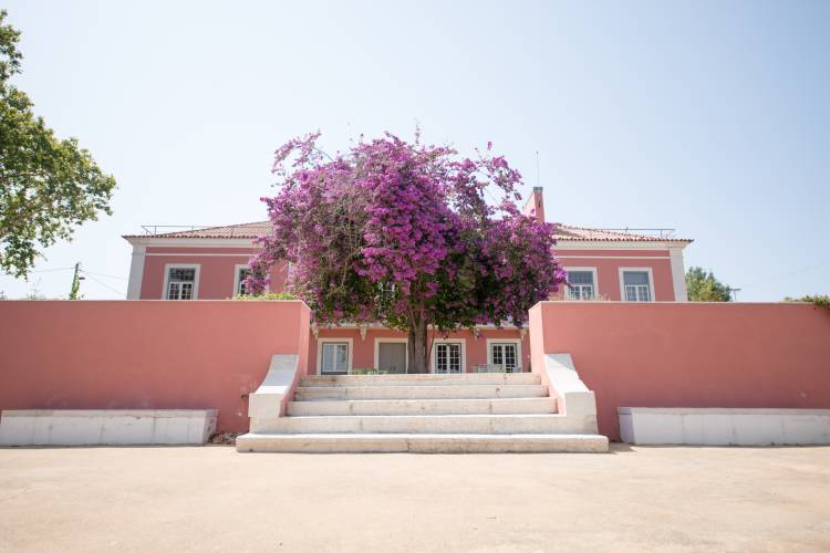 Quinta Alegre | Visita guiada