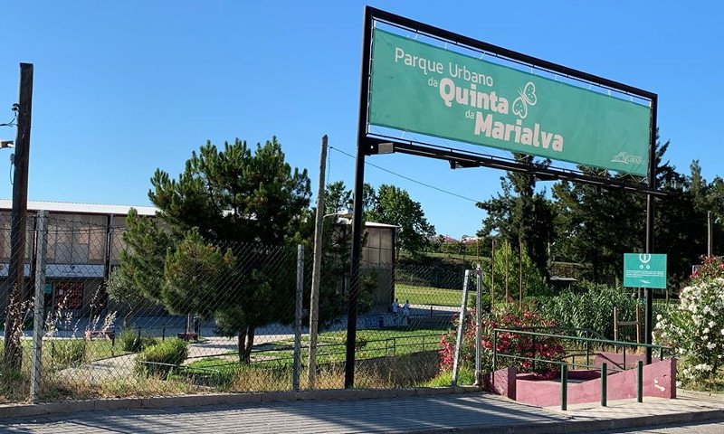 Feira da Bagageira em Corroios