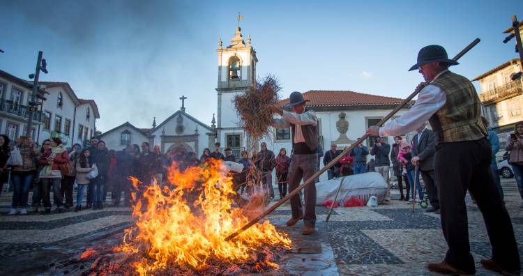 Festival da Castanha 2024