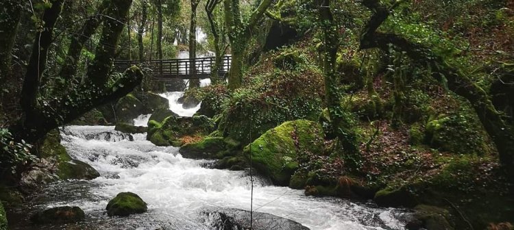 Ruta de Senderismo / Fervenzas de Lousame   -  Domingo 6/10/24