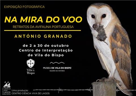 Exposição fotográfica 'Na Mira do Voo - Retratos da Avifauna Portuguesa”