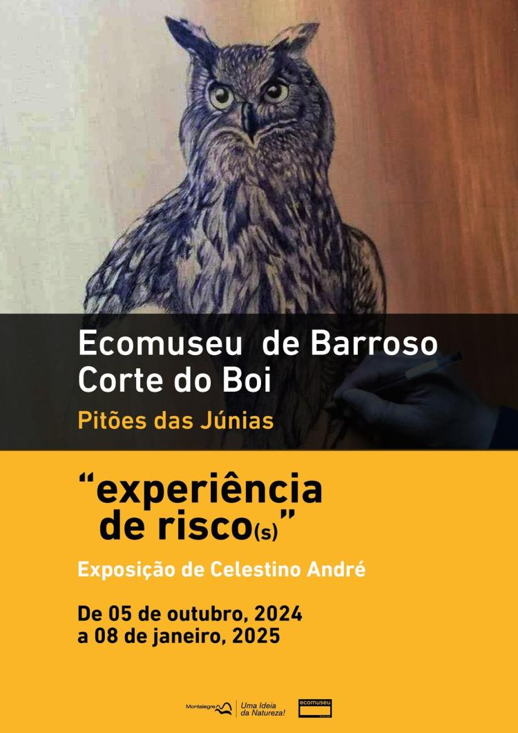 Pitões das Júnias | Exposição - 'Experiência de risco(s)'