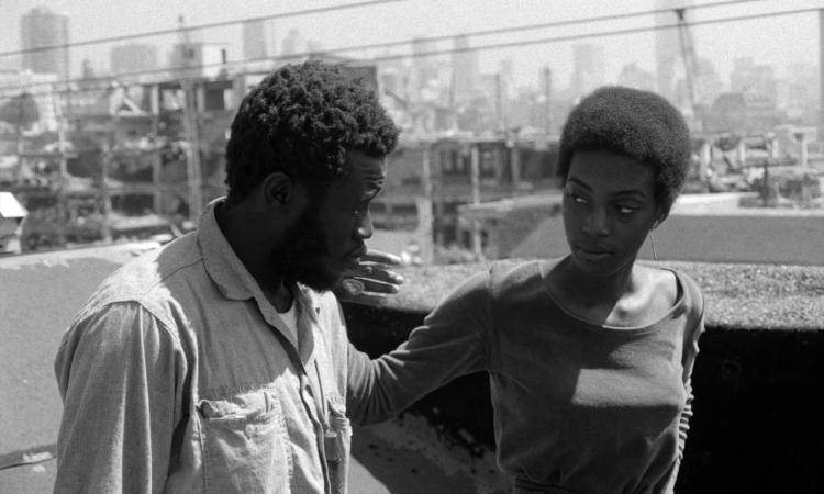 Cineclube Pontevedra: Bushman