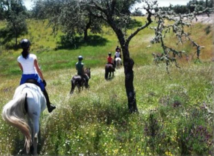 Desafío Monfragüe a caballo