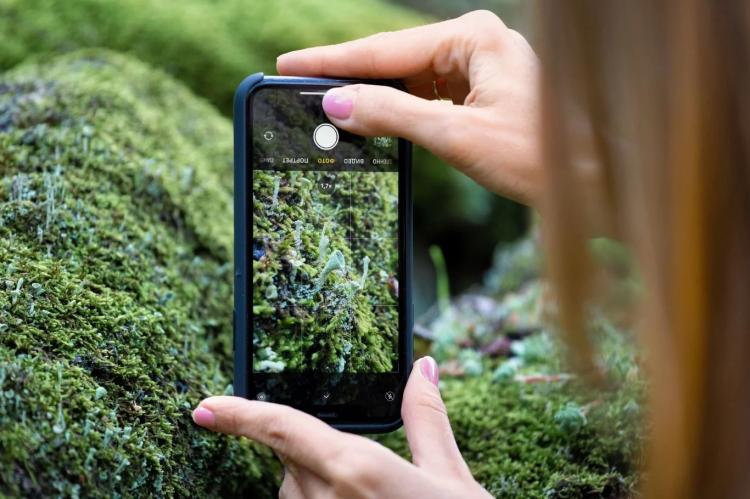 Taller de fotografía de naturaleza para redes sociales