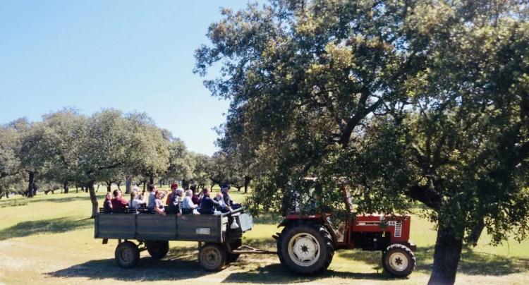 Ruta en tractor por los campos de Brozas
