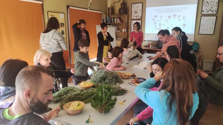 Ruta botánica para descubrir las plantas medicinales