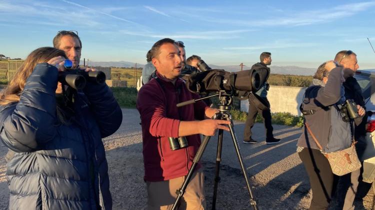 Birdwatching: observando grullas al atardecer