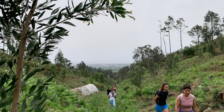 Caminhada no Trilho do Pedra Amarela e Trilho do Cabeço da Raposa