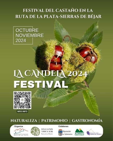 La Candela. Festival del Castaño en la Ruta de la Plata-Sierras de Béjar