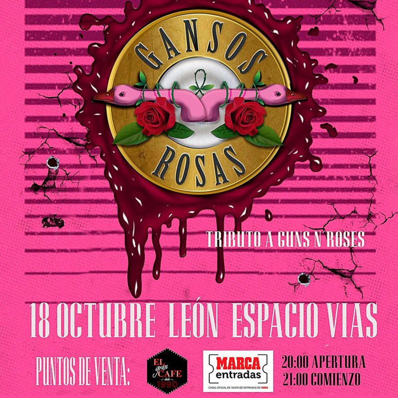 Gansos Rosas. Tributo a Guns N’ Roses. Espacio Vías