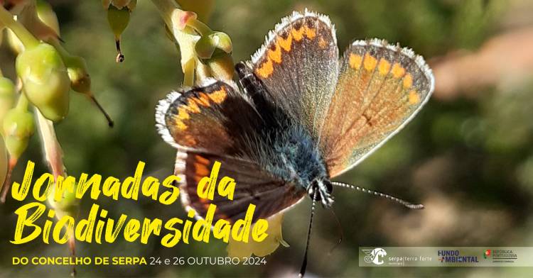 Jornadas da Biodiversidade do concelho de Serpa 