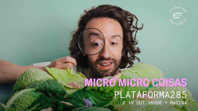 micro micro coisas | Plataforma285