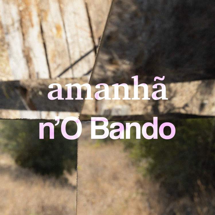 Dia 11 n'O Bando | 50 impossíveis