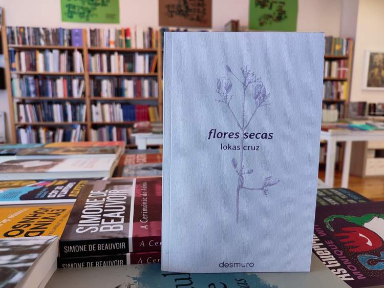 Apresentação: flores secas de Lokas Cruz