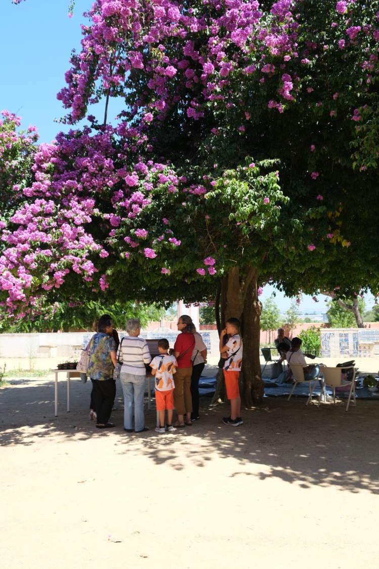 O Domingo é na Quinta