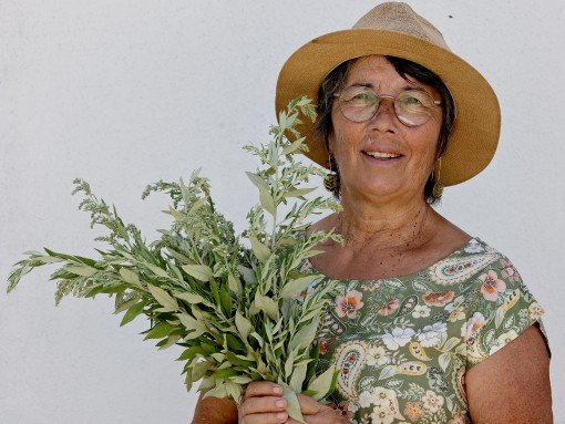 APRESENTAÇÃO DE LIVROS DE FERNANDA BOTELHO