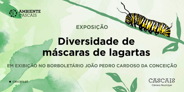 Exposição: Diversidade de Máscaras de Lagartas