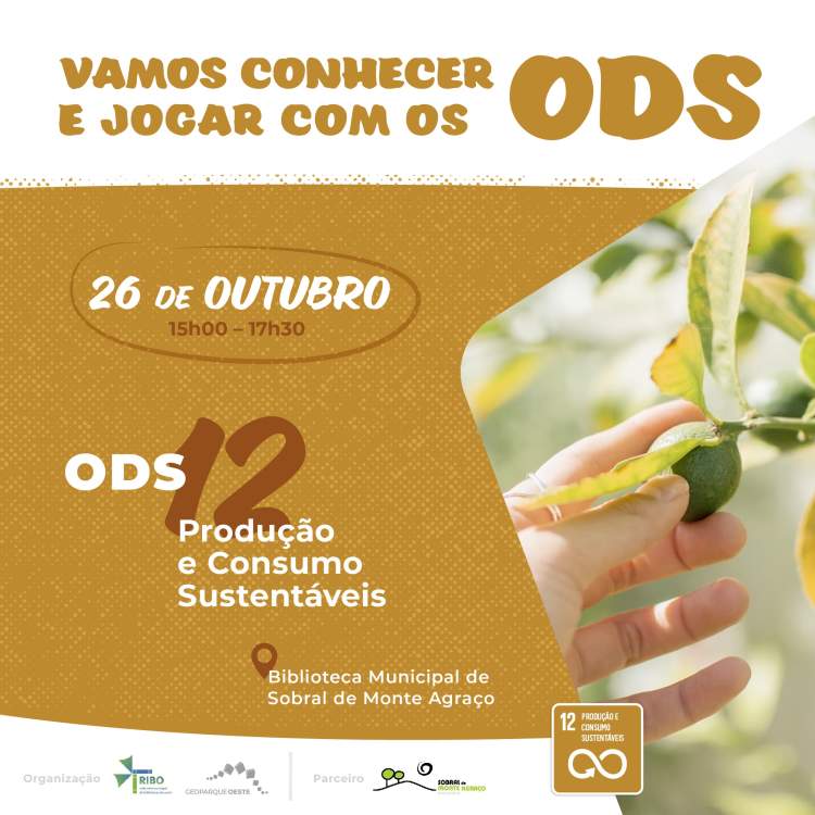 Vamos conhecer e jogar com os ODS - ODS 12 produção e Consumo Sustentáveis