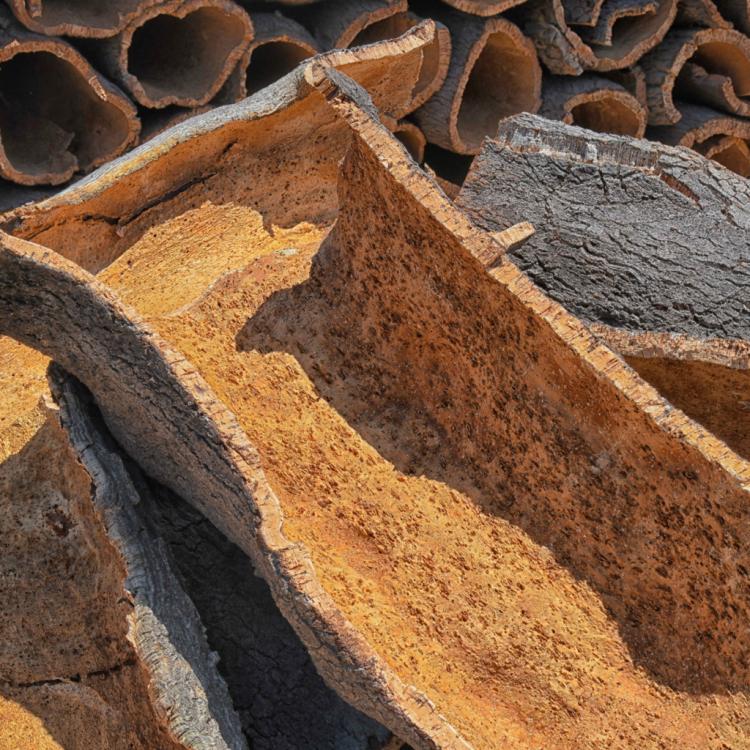 Exposição 'Descortiçar - A Arte do Saber'