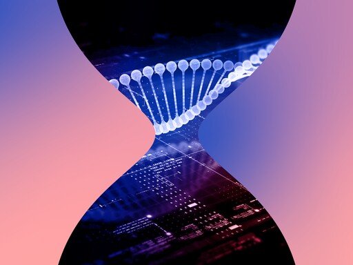 CIÊNCIAS Research & Innovation Day 2024