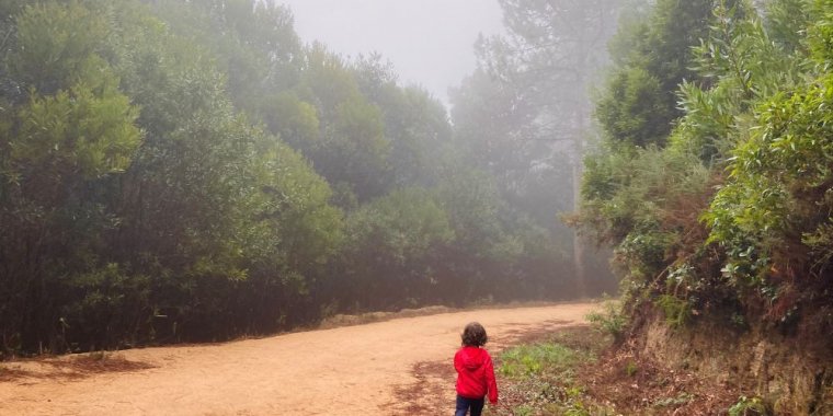 Caminhada e história 'Queres entrar dentro da floresta?'