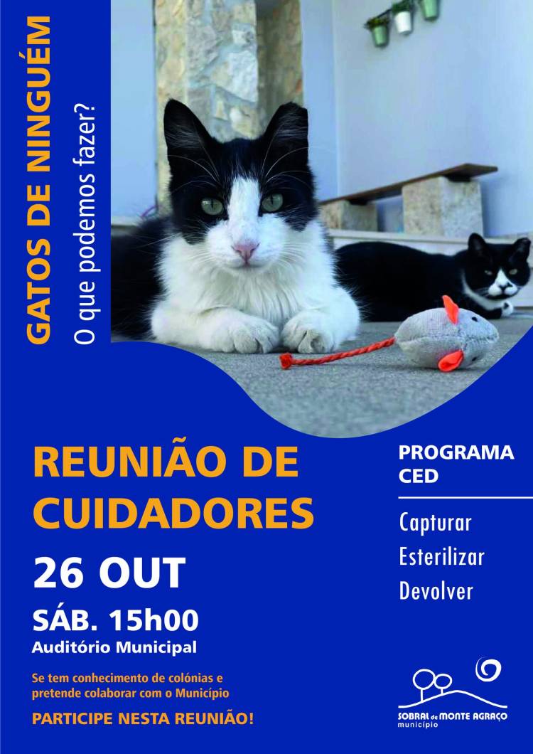 Gatos de Ninguém | Reunião de Cuidadores