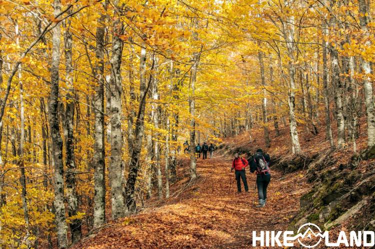 Caminhada Outonal no Bosque das Faias | Manteigas – Edição Sábado Manhã