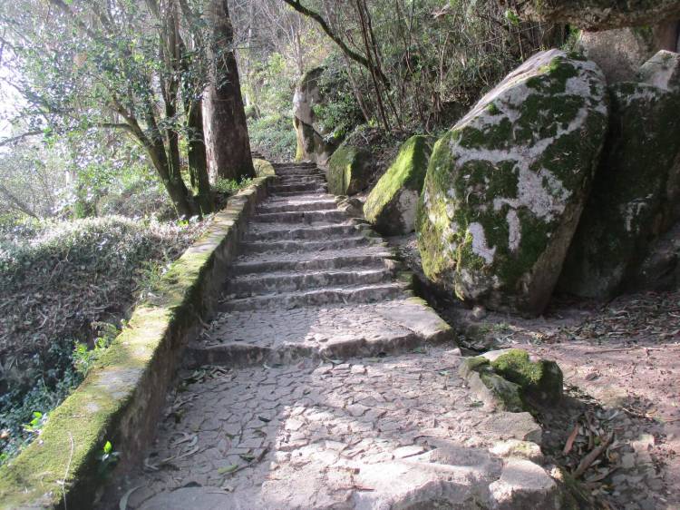 Caminhando em Escadinhas de Sintra