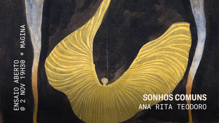 Sonhos Comuns | Ana Rita Teodoro