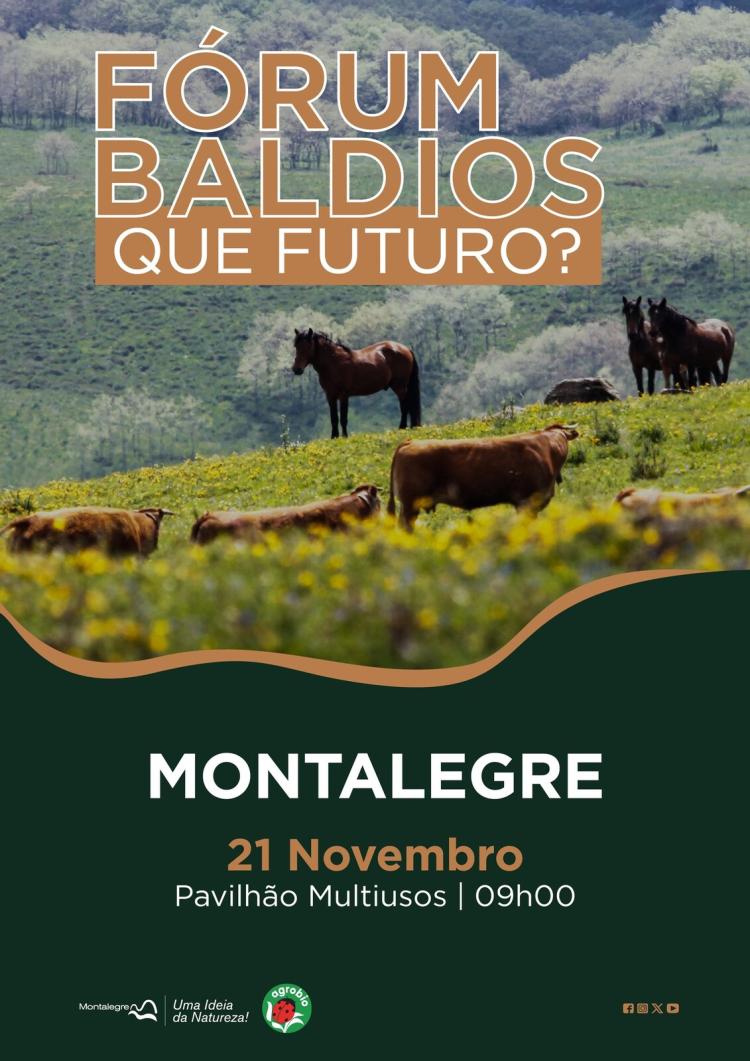 Montalegre | Fórum (Baldios - Que futuro?)